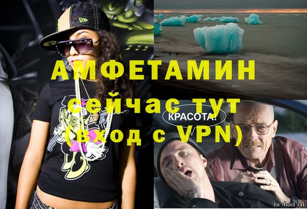 индика Алзамай