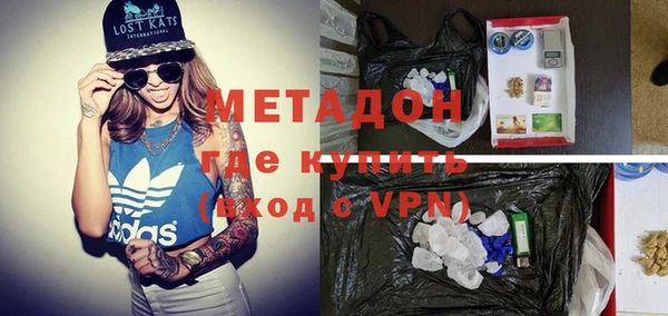 индика Алзамай