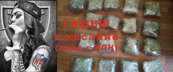 индика Алзамай