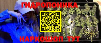 трава Краснодар