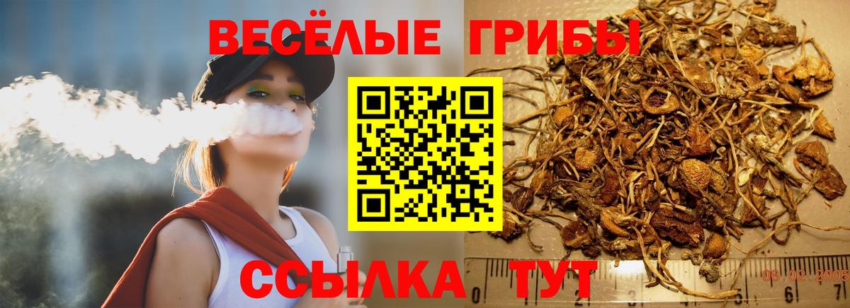 Псилоцибиновые грибы мицелий  Вход с VPN  Керчь 