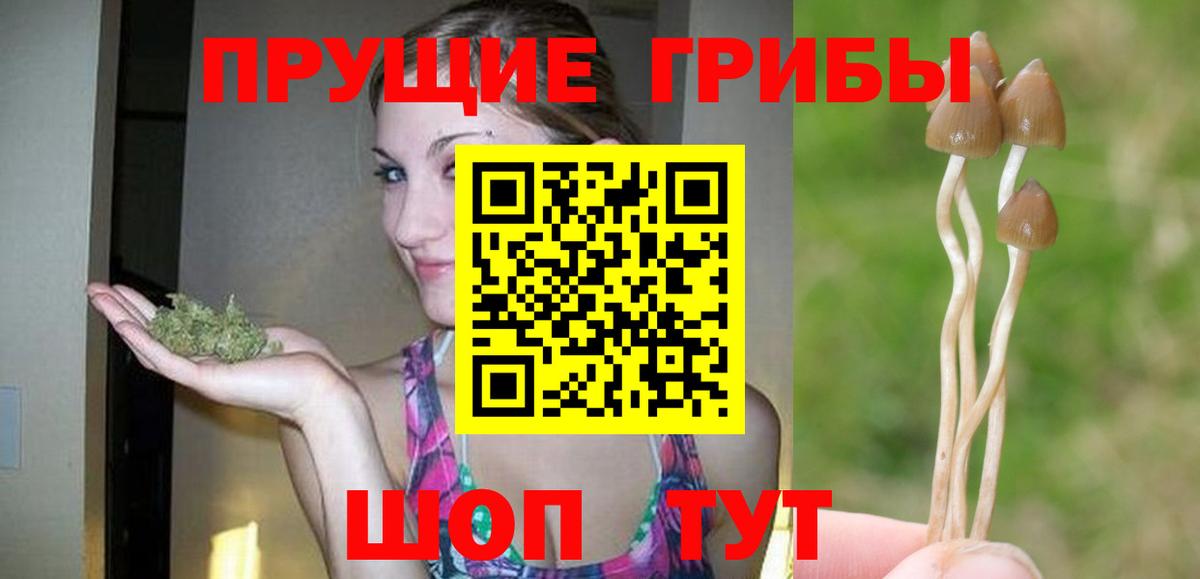 Псилоцибиновые грибы прущие грибы Керчь